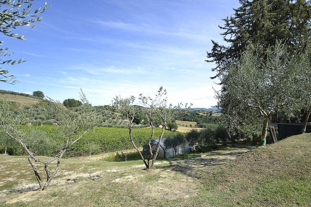 Photo of Outdoor in Ramazzano