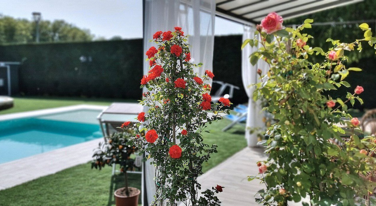 Photo of Outdoor in Castelbaldo