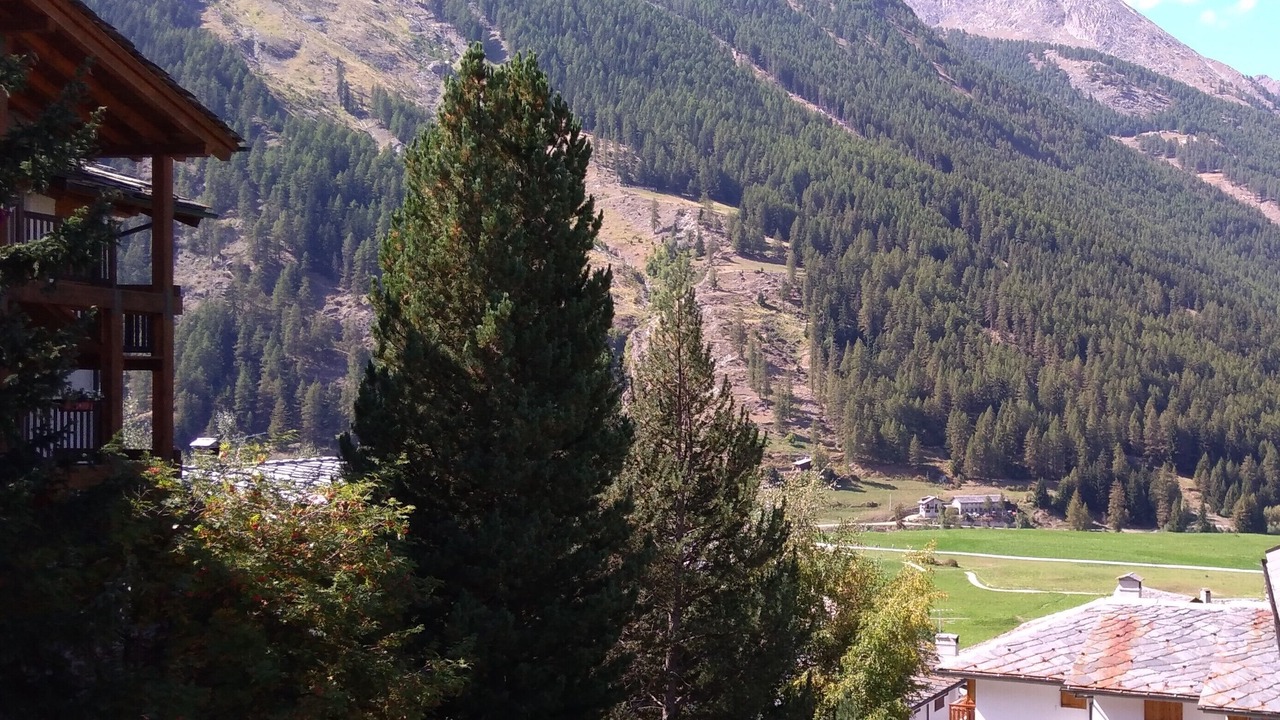 Photo of Outdoor in Cogne