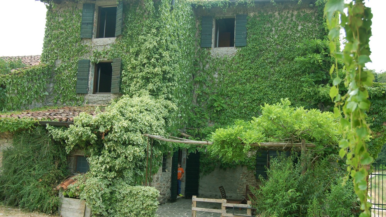 Photo of Outdoor in Valeggio sul Mincio