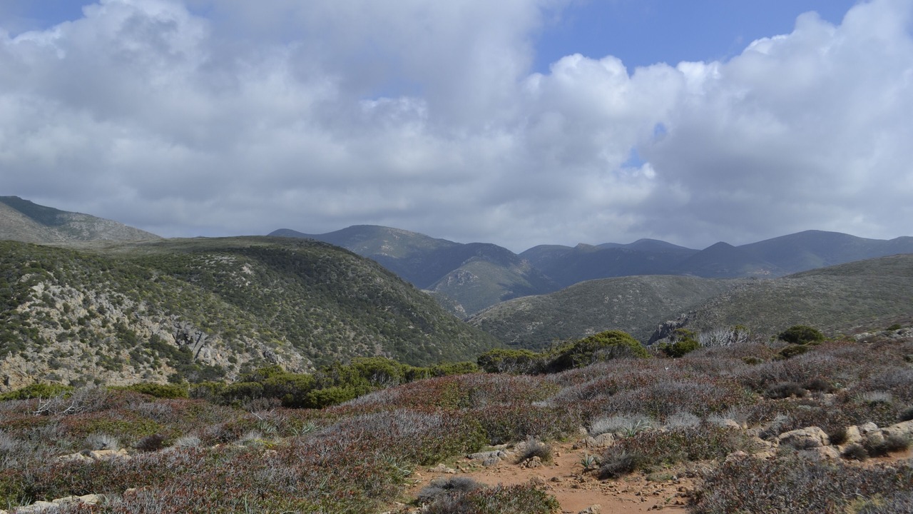 Photo of Outdoor in Iglesias