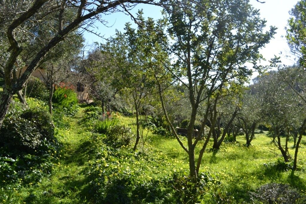 Photo of Outdoor in Iglesias