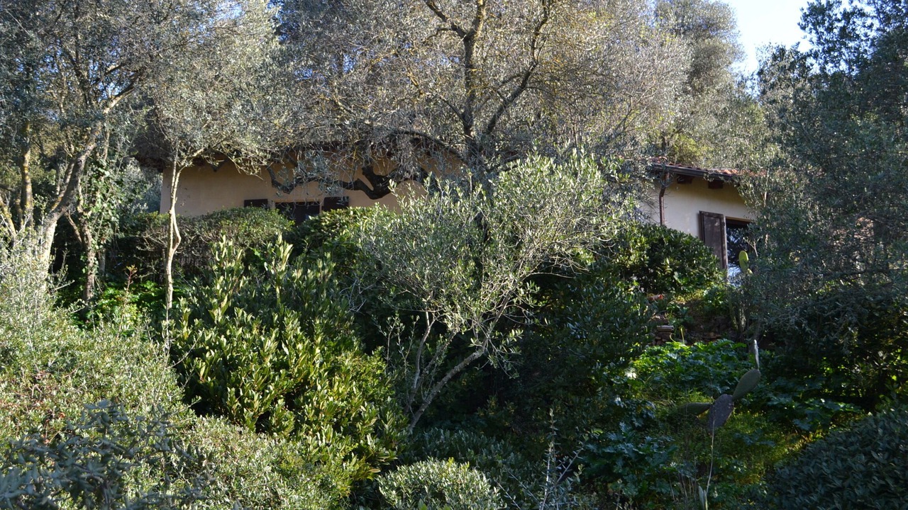 Photo of Outdoor in Iglesias