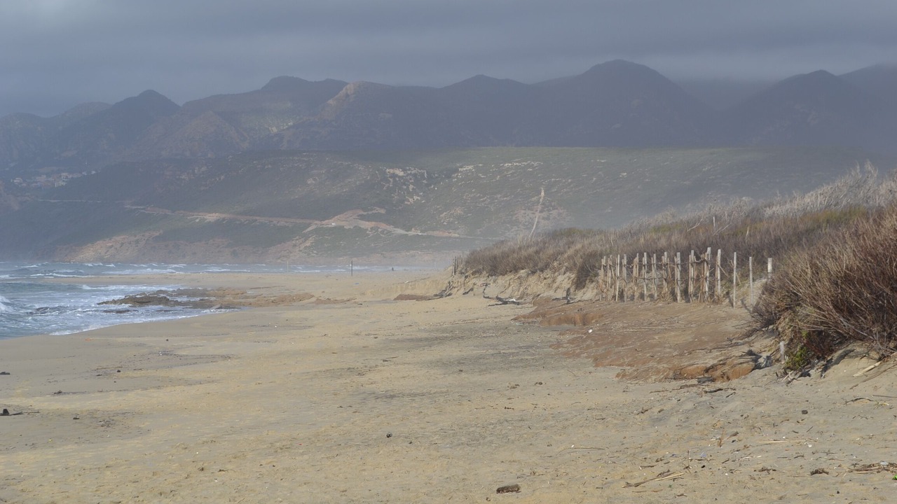 Photo of Others in Iglesias