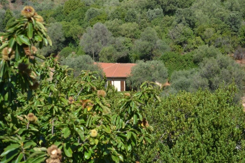 Photo of Others in Iglesias