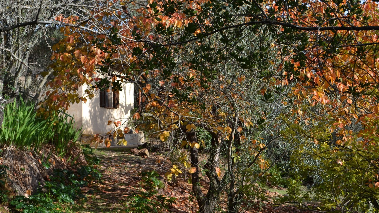 Photo of Outdoor in Iglesias