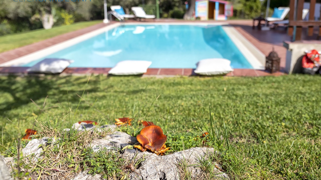 Photo of Outdoor in Alghero