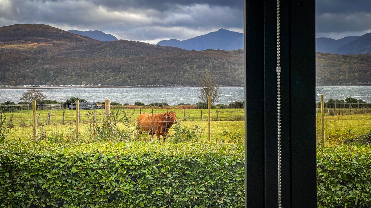 Photo of Others in West Laroch