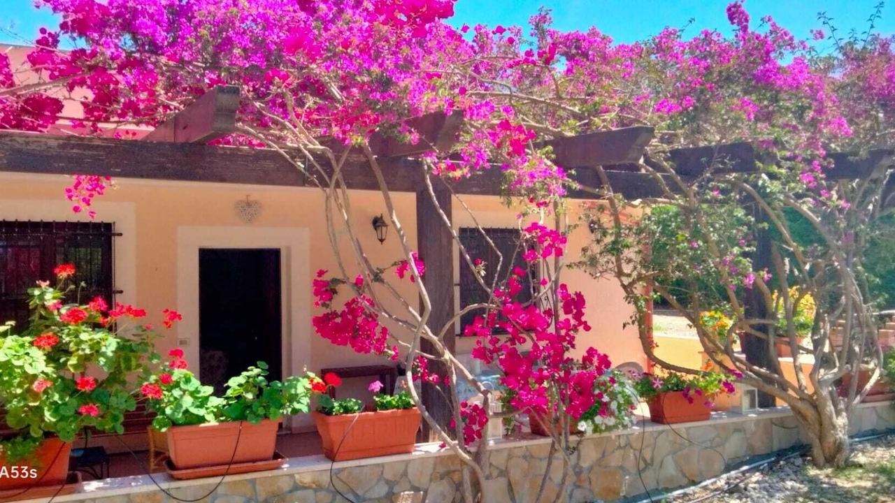 Photo of Outdoor in Rodi Garganico