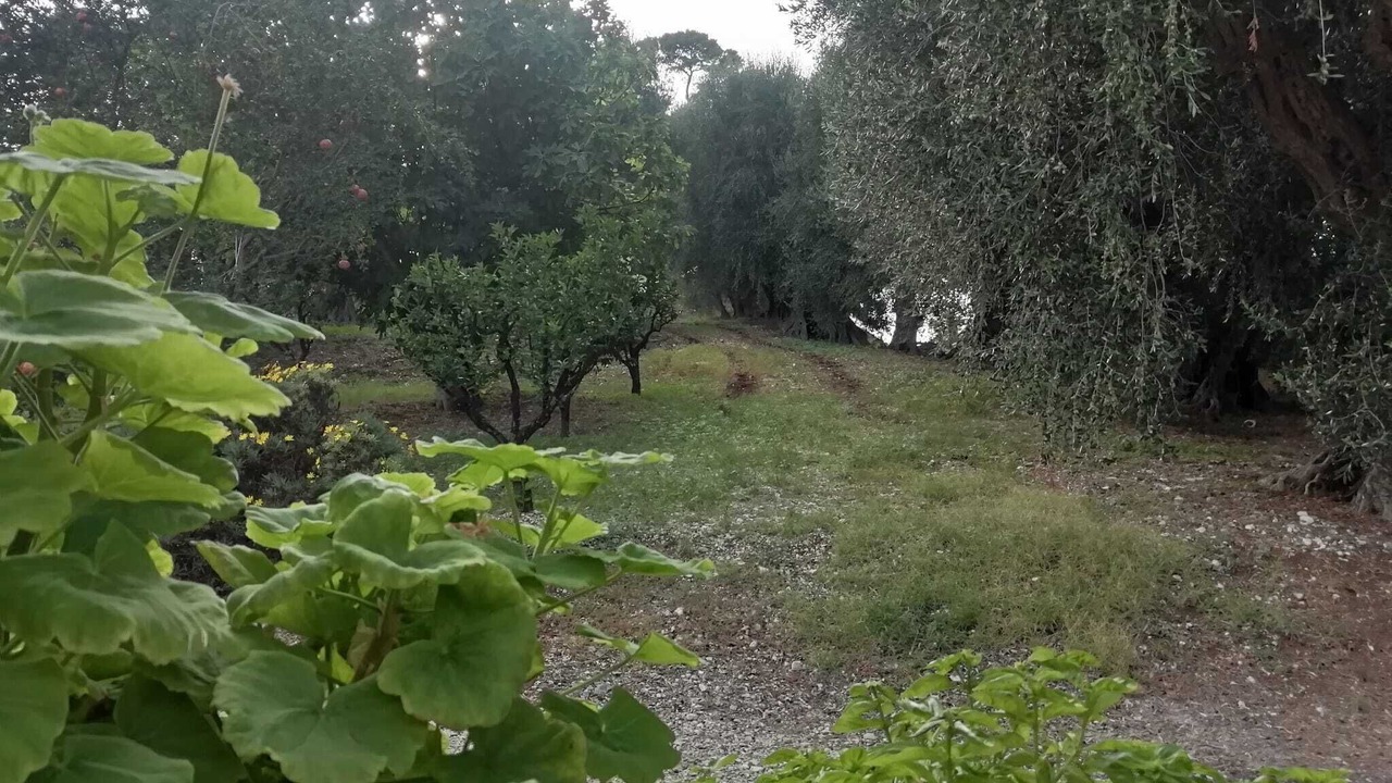 Photo of Outdoor in Rodi Garganico
