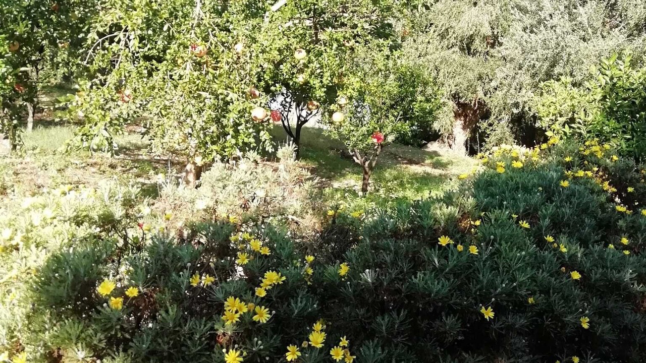 Photo of Outdoor in Rodi Garganico