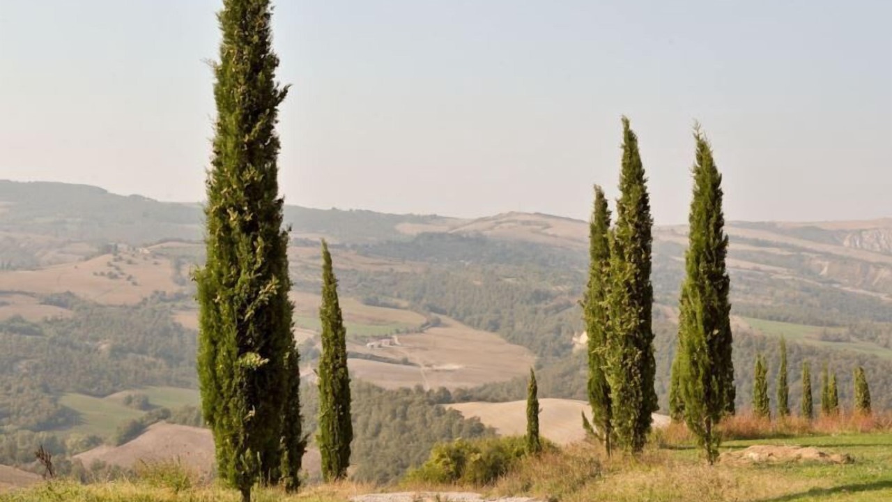 Photo of Others in Il Poggio