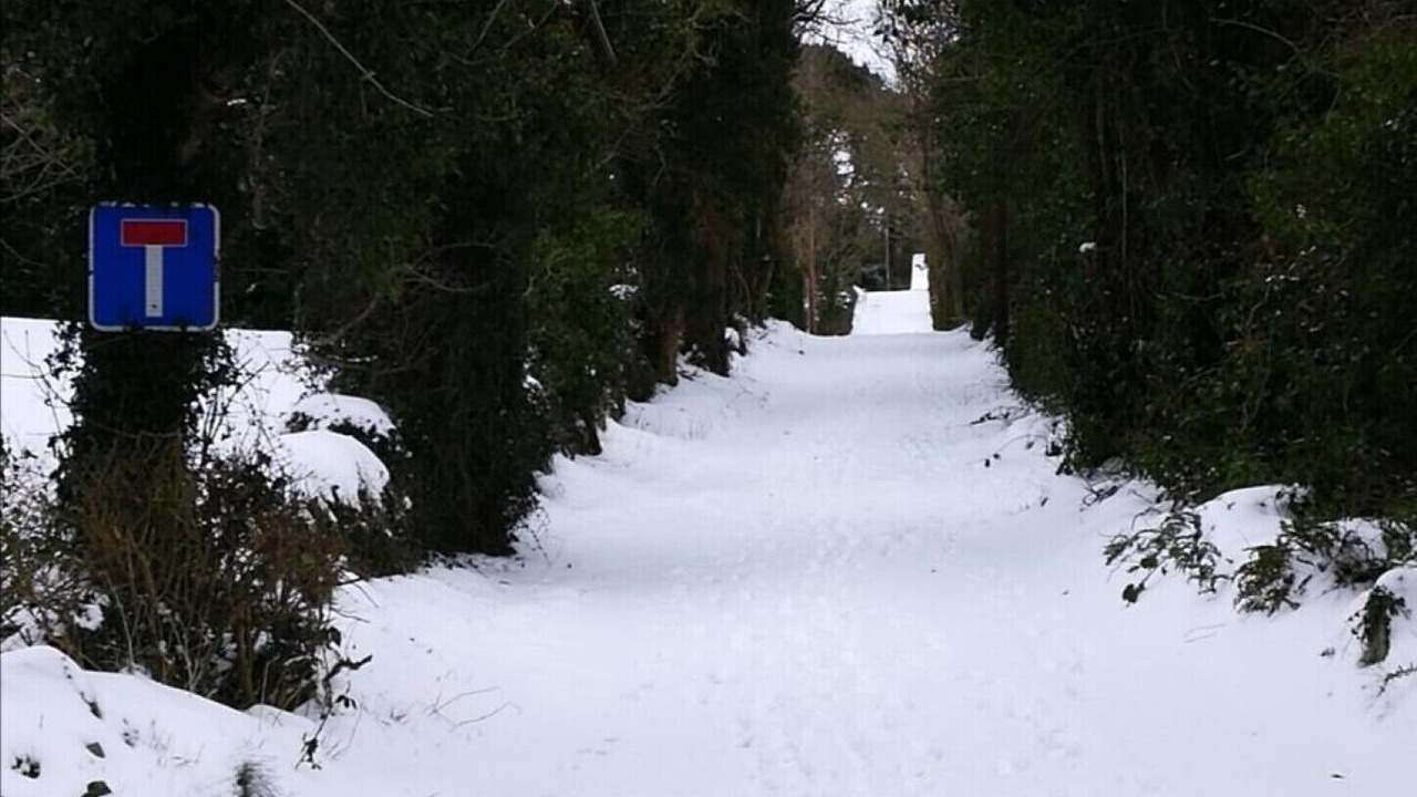 Photo of Outdoor in Newry