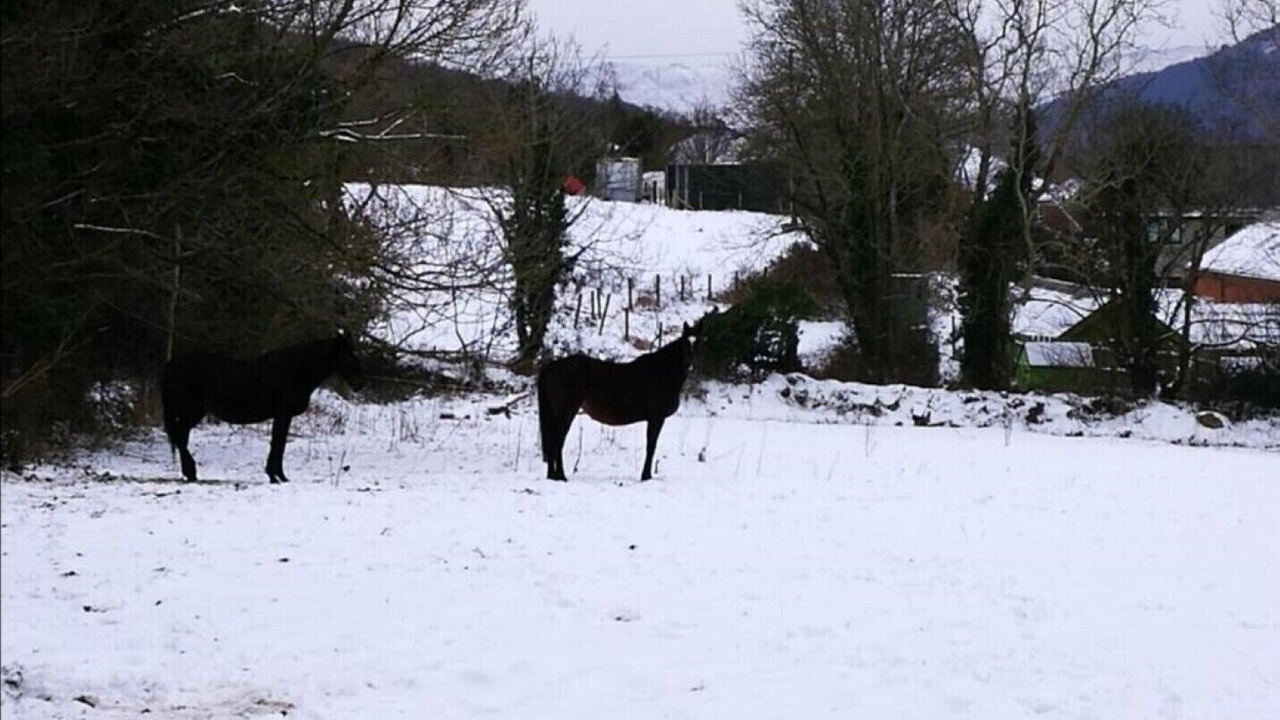 Photo of Outdoor in Newry
