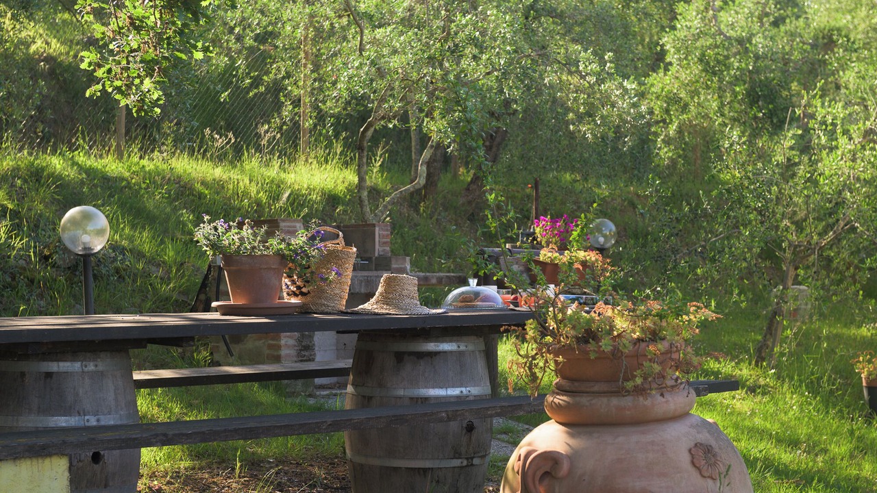 Photo of Outdoor in Sinalunga