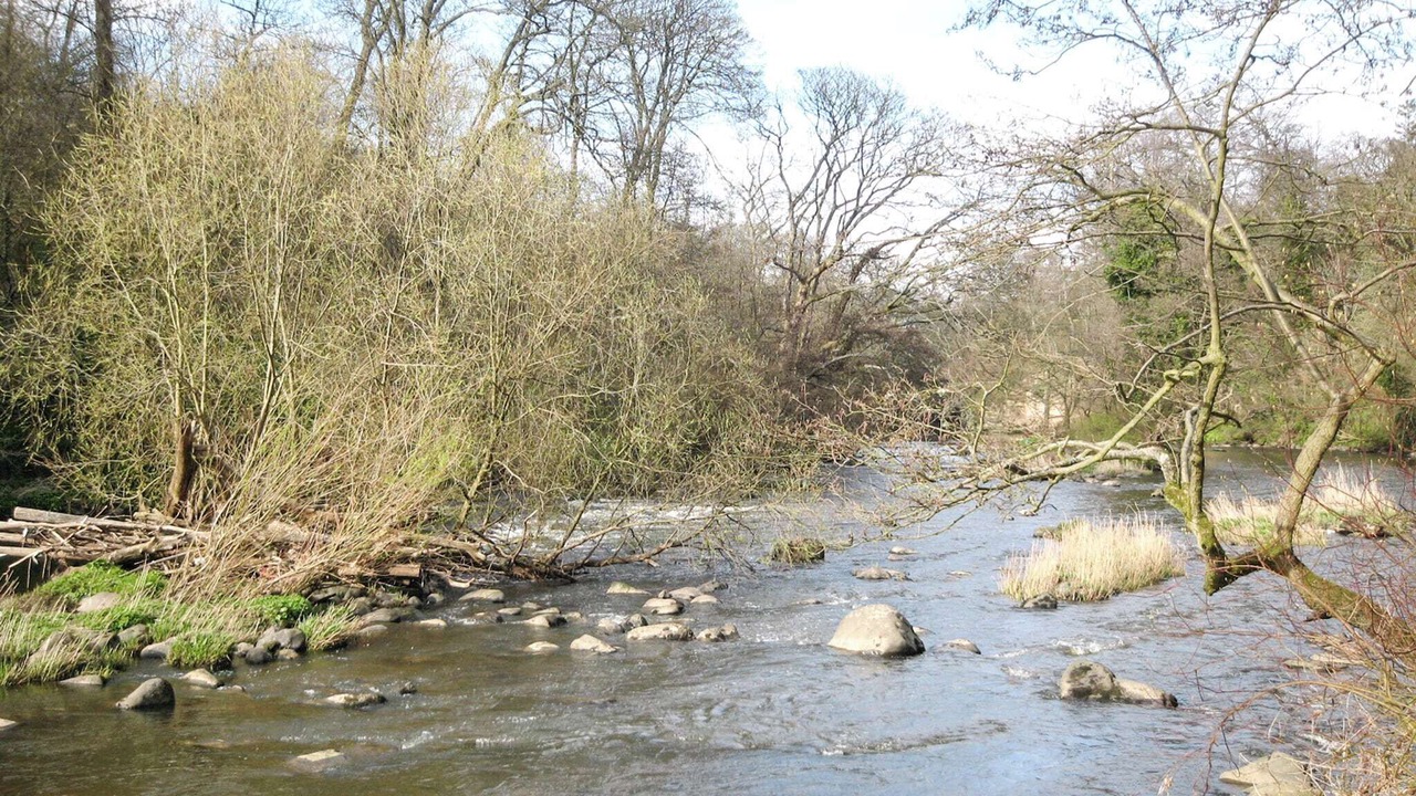 Photo of Others in Cramond