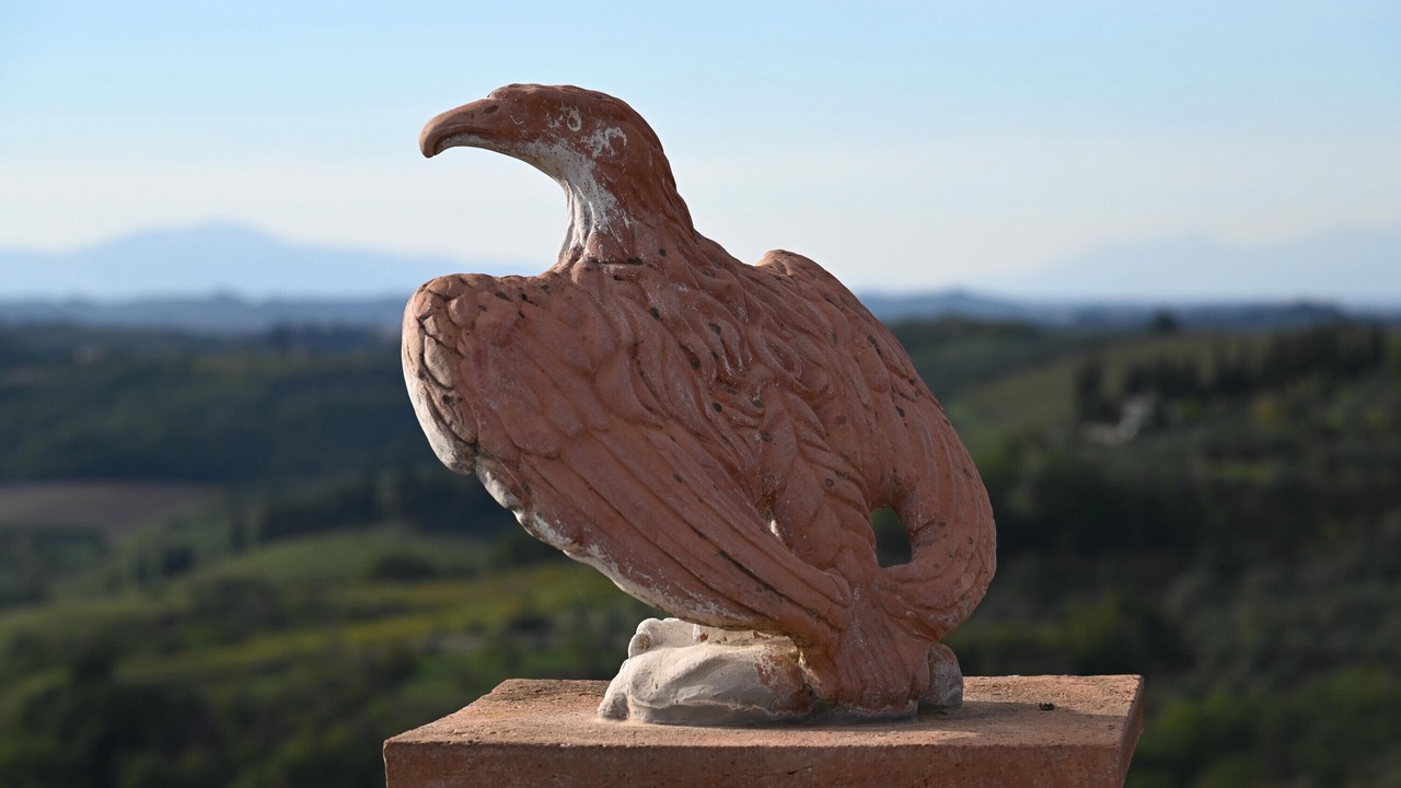 Photo of Outdoor in Certaldo