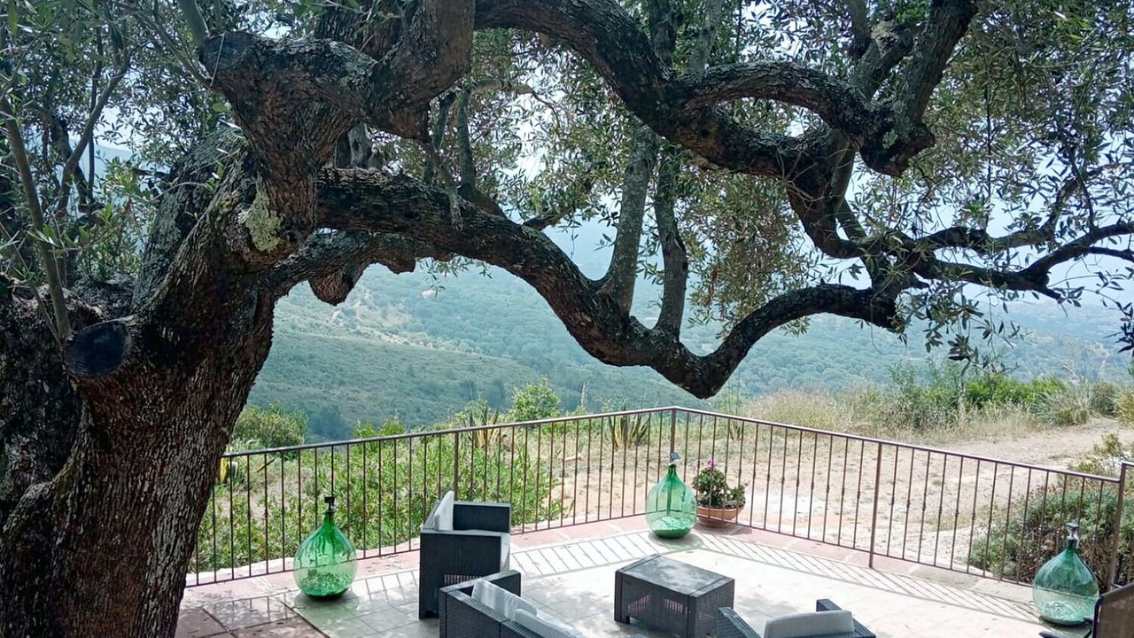 Photo of Patio Balcony in Camerota