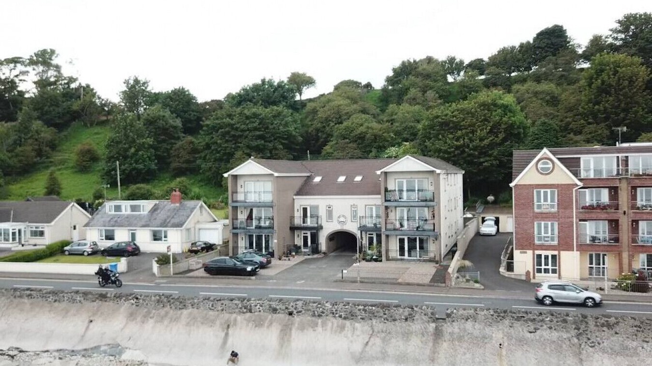Photo of Outdoor in Drains Bay
