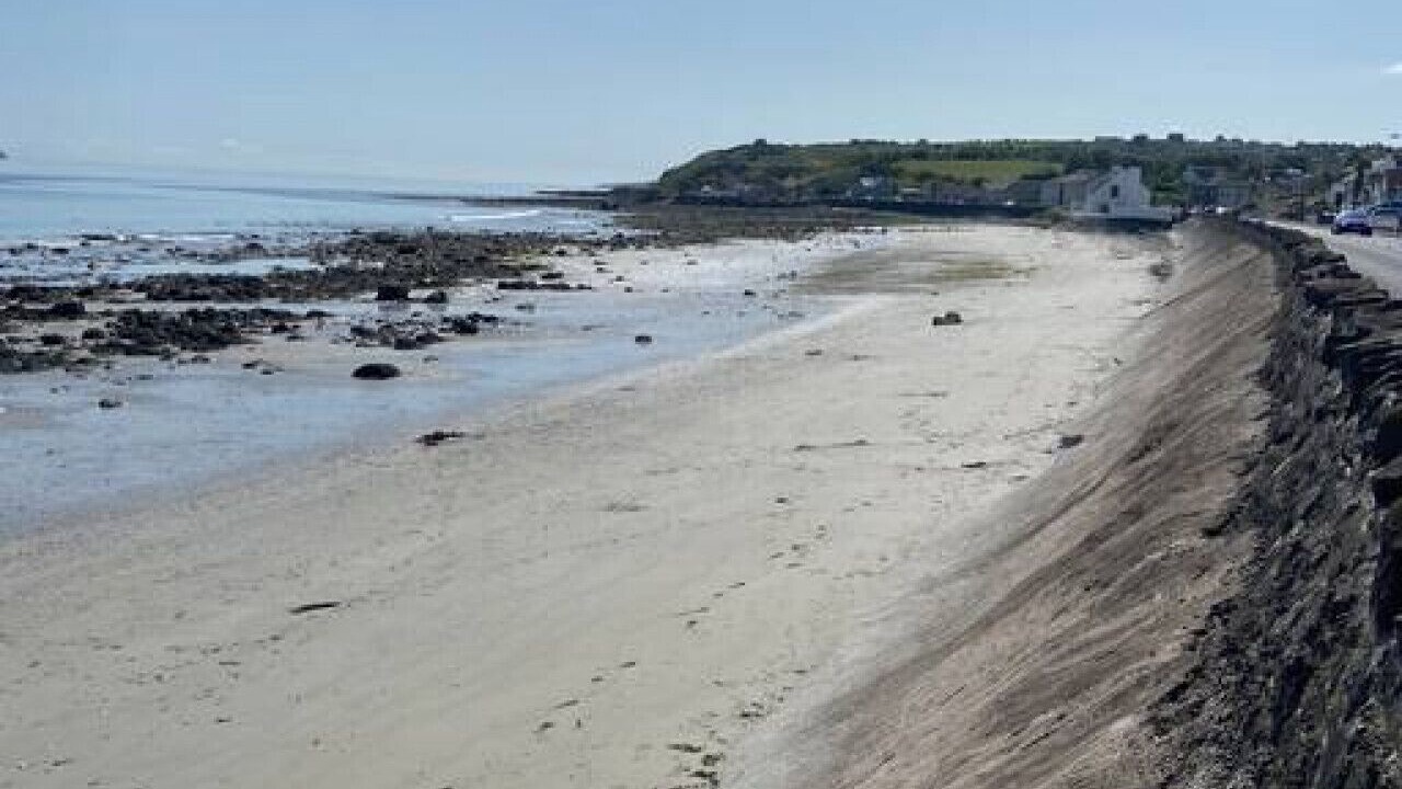Photo of Others in Drains Bay