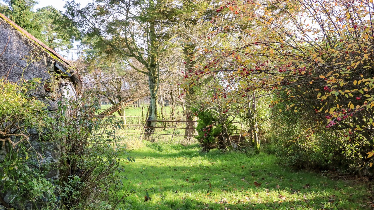 Photo of Outdoor in Omagh
