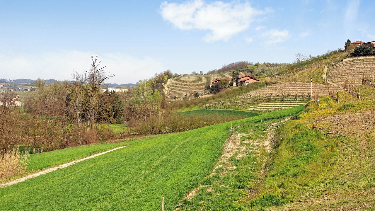 Photo of Others in Priocca