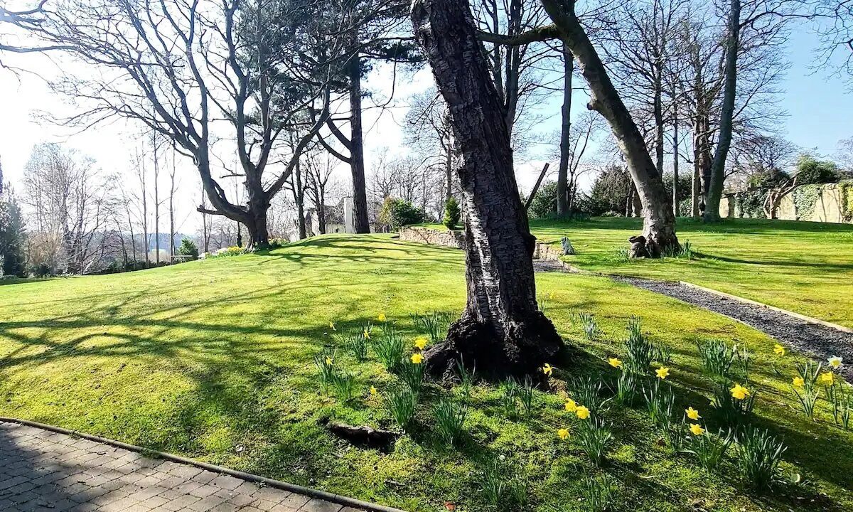 Photo of Outdoor in Musselburgh