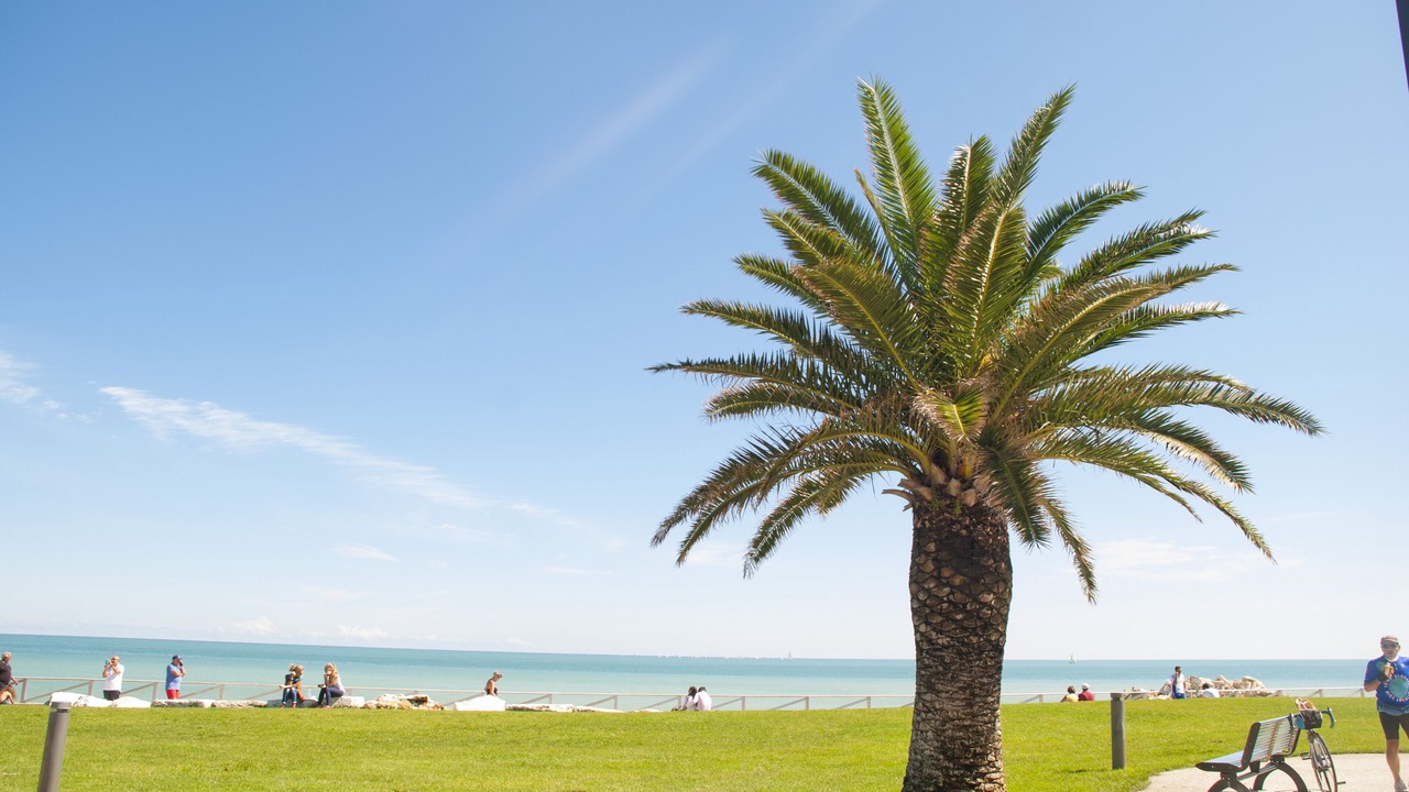 Photo of Outdoor in Offida