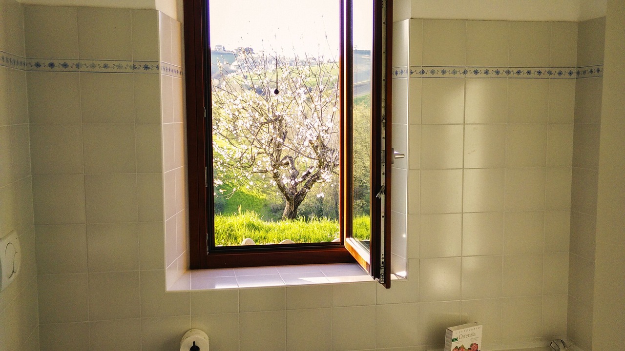 Photo of Bathroom in Offida