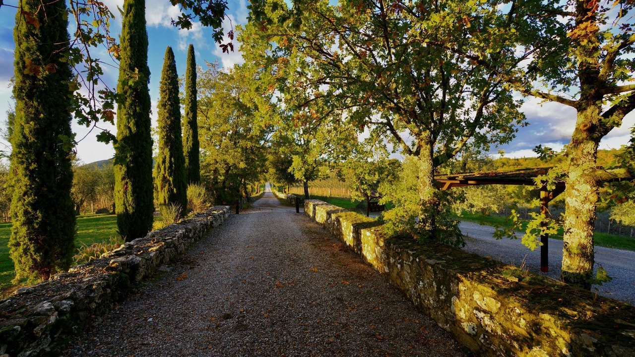 Photo of Others in Castelnuovo Berardenga