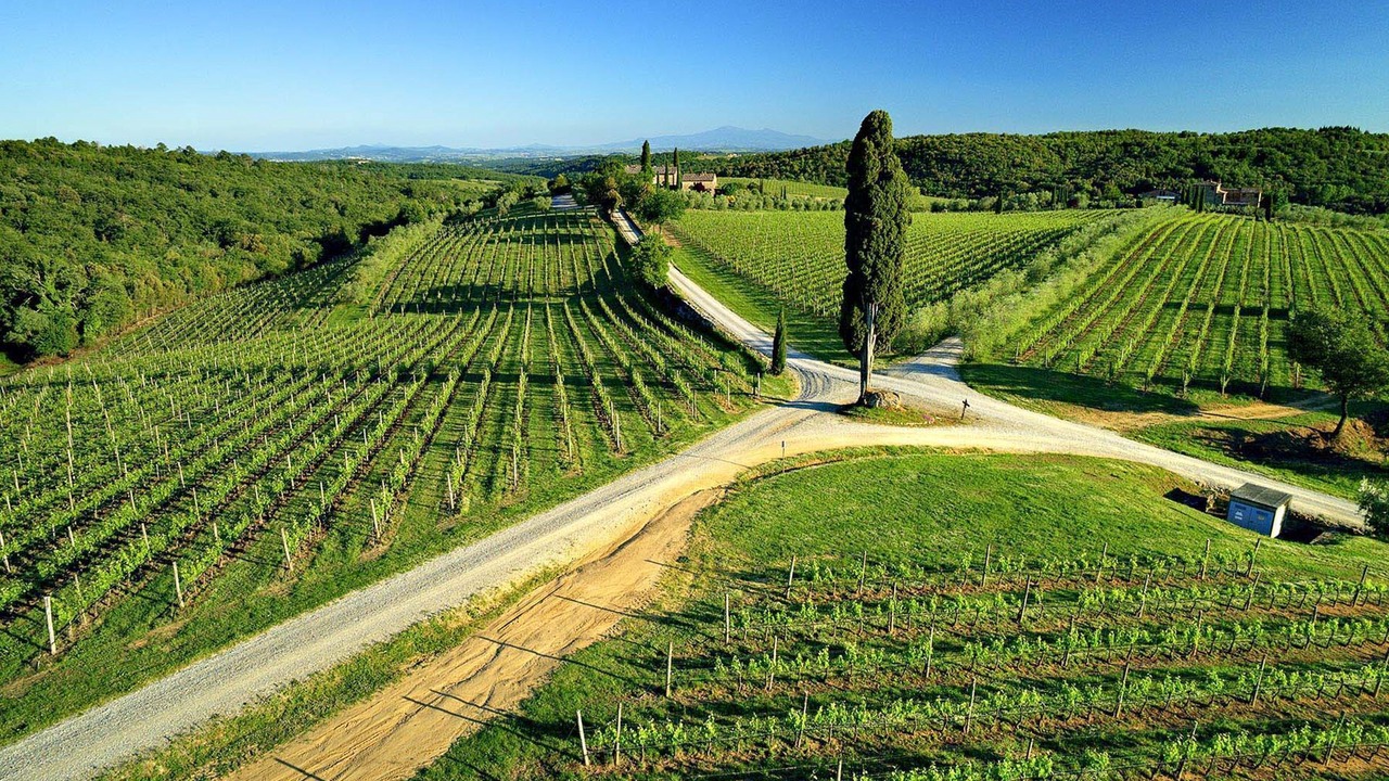Photo of Others in Castelnuovo Berardenga