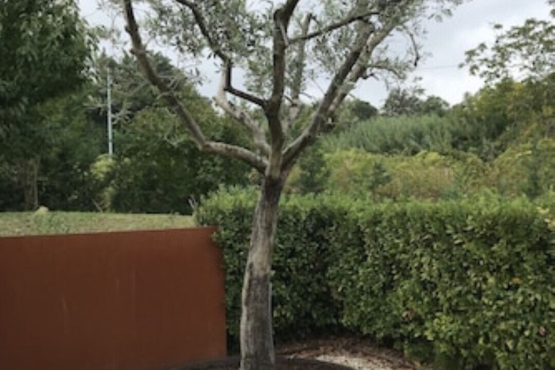 Photo of Outdoor in Cupramontana