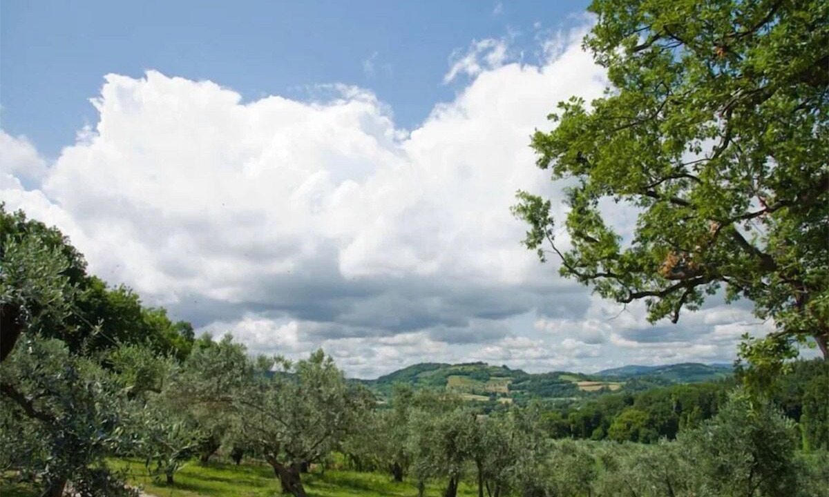 Photo of Outdoor in Fano