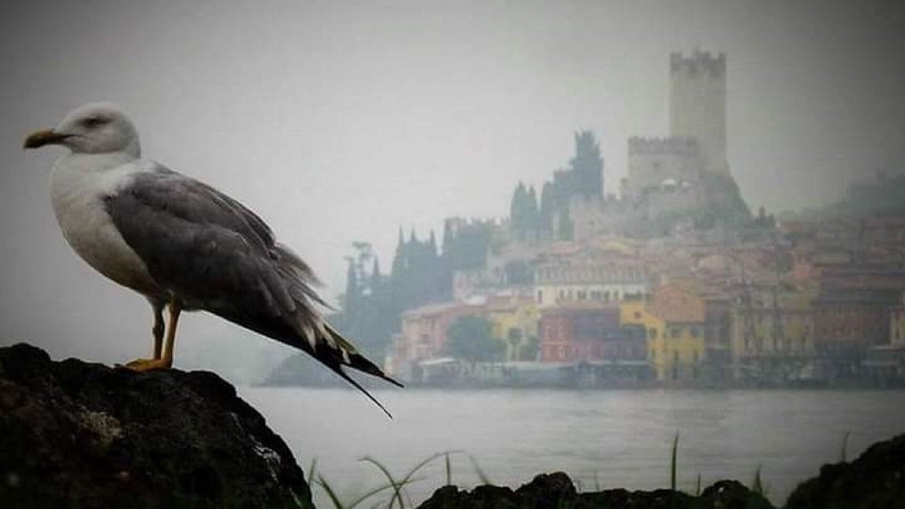 Photo of Outdoor in Campagnola