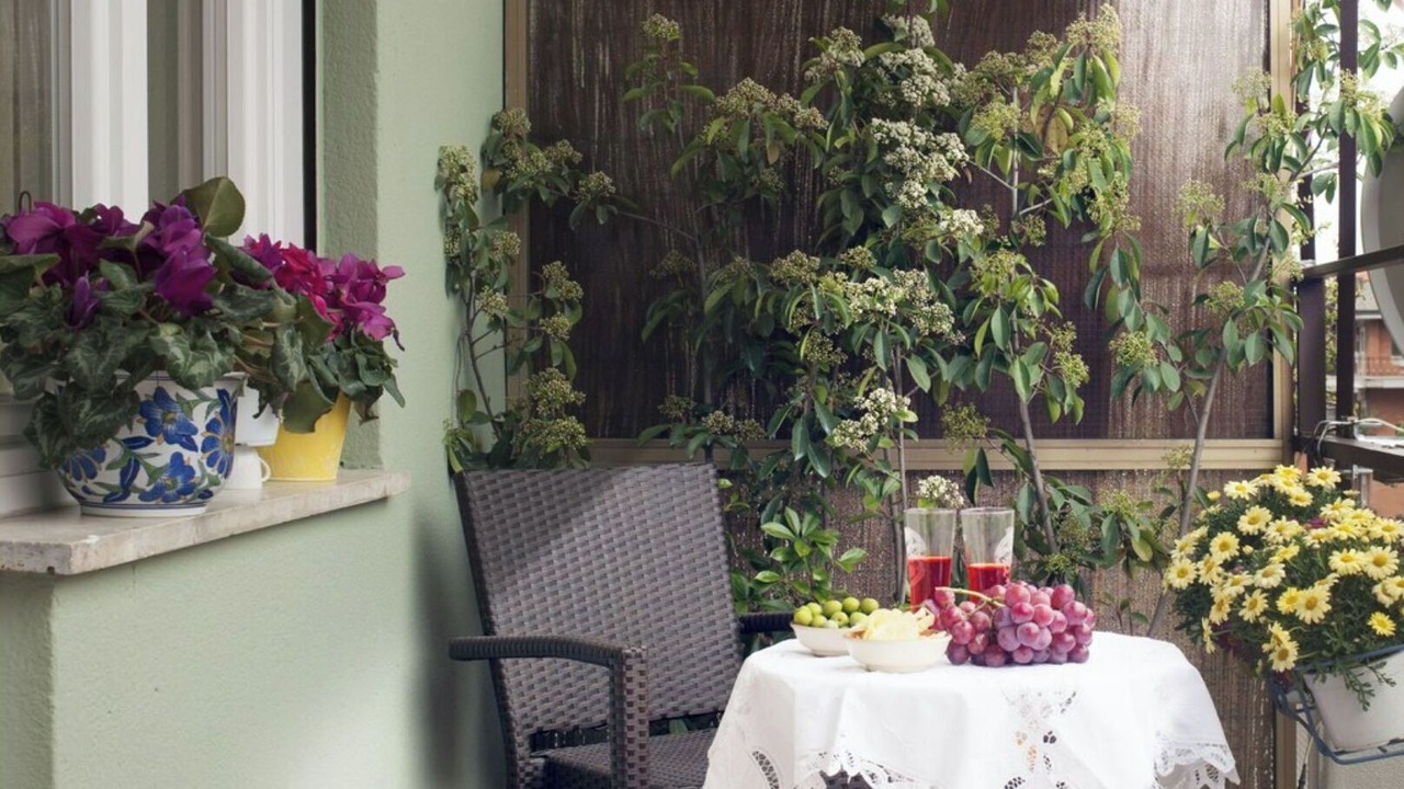 Photo of Patio Balcony in Appio Latino