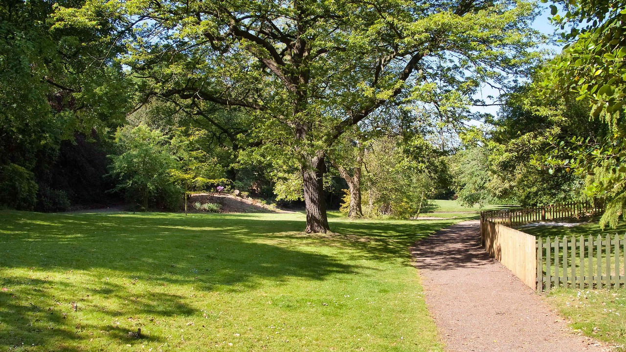 Photo of Outdoor in New Town