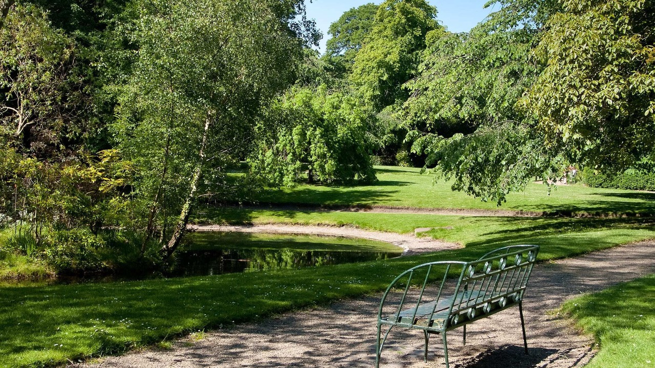 Photo of Outdoor in New Town