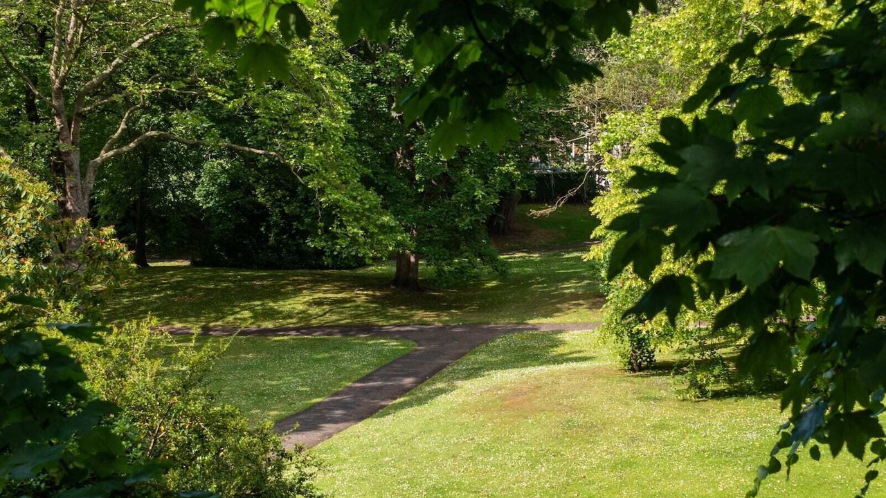 Photo of Outdoor in New Town