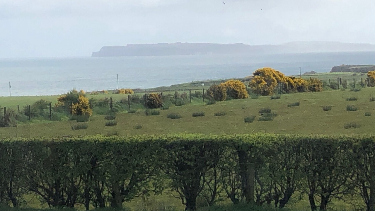Photo of Bedroom in Dunseverick