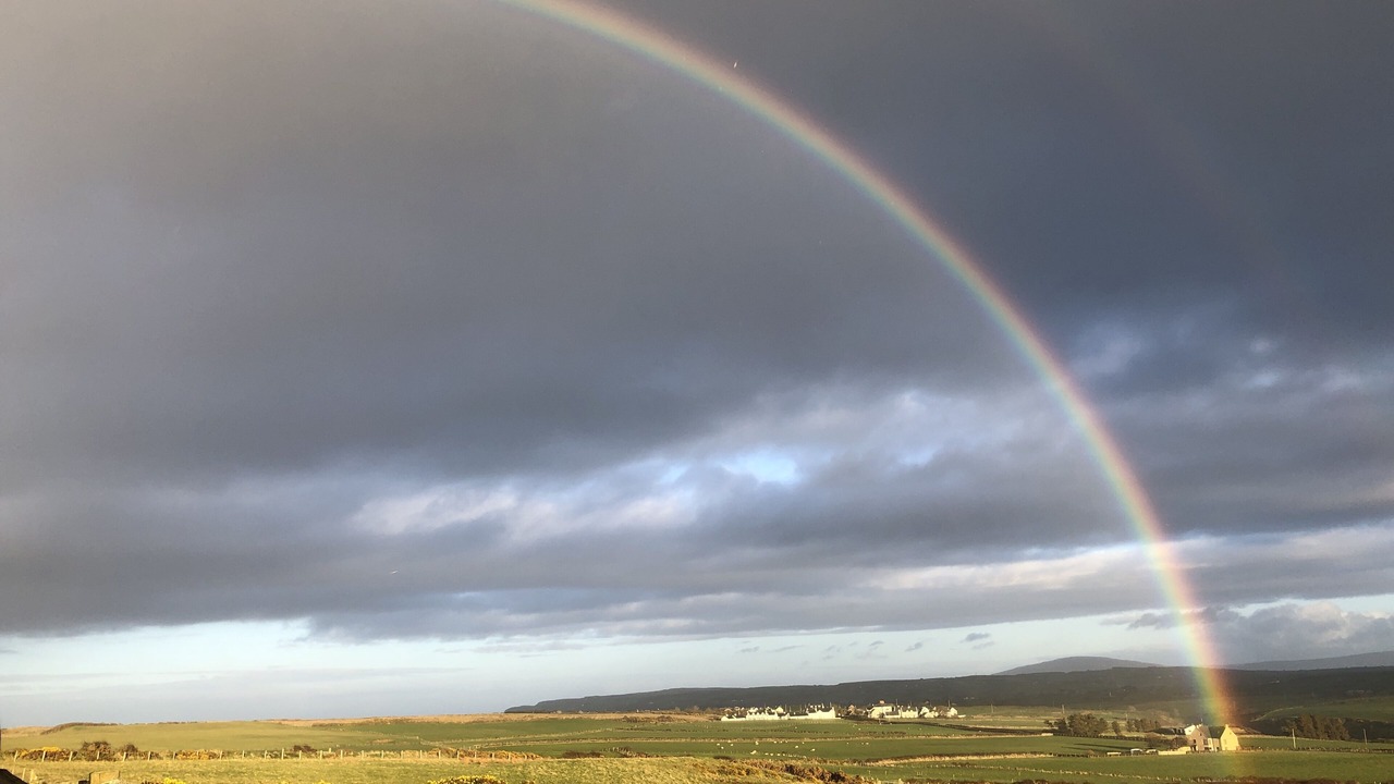 Photo of Others in Dunseverick