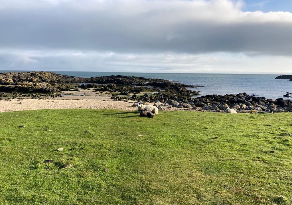 Photo of Others in Dunseverick