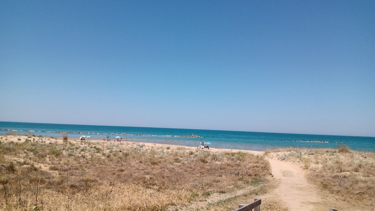 Photo of Others in Termoli