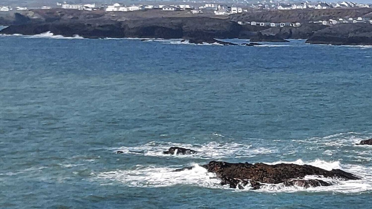 Photo of Others in Trearddur Bay