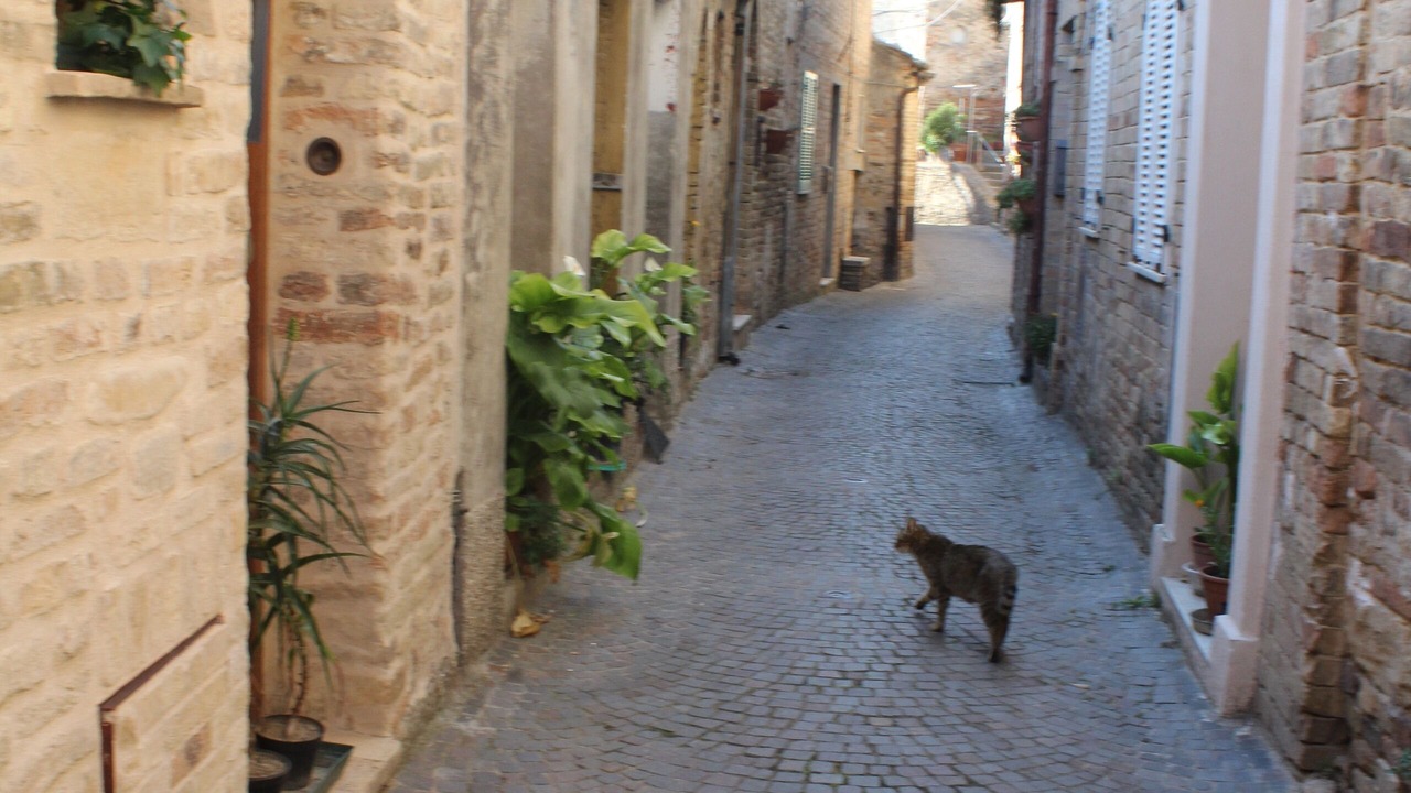 Photo of Outdoor in Monterubbiano