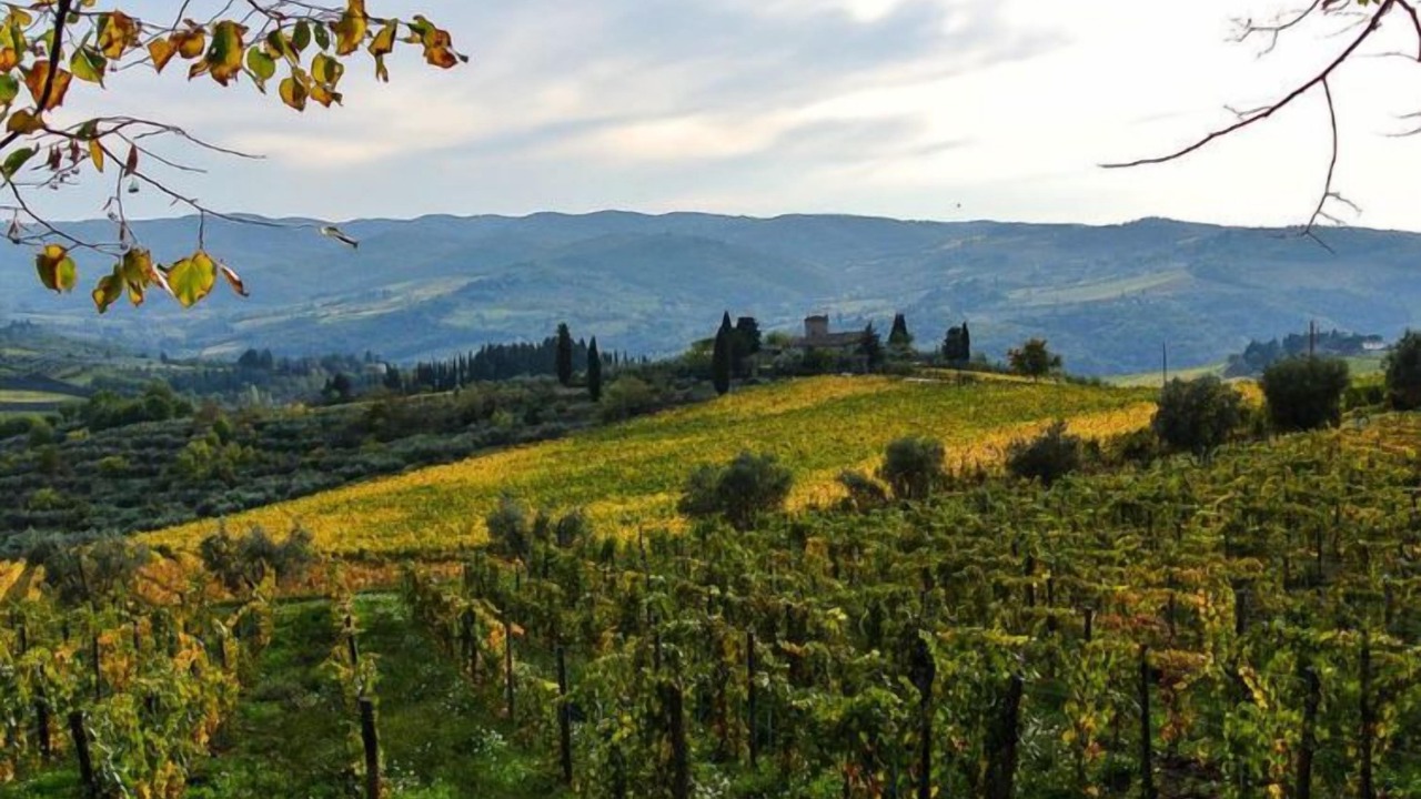 Photo of Others in Lucolena