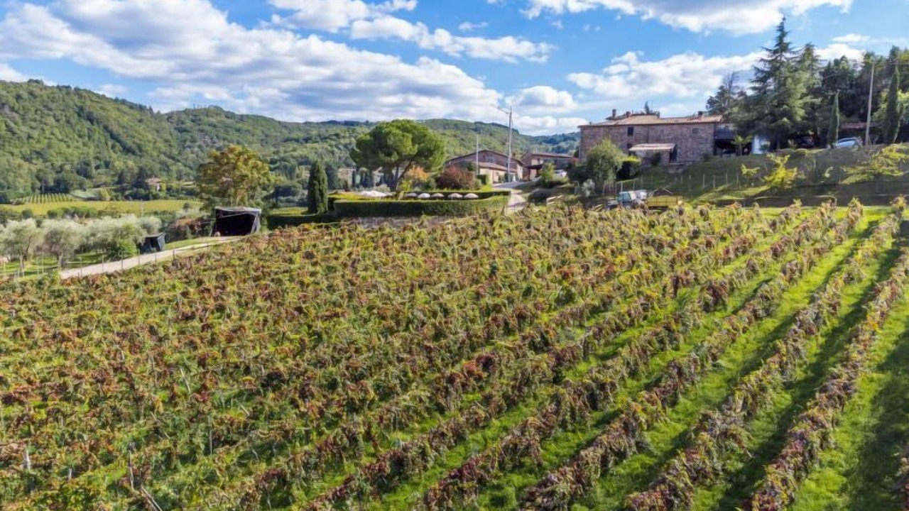 Photo of Others in Lucolena