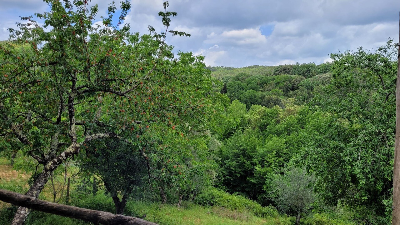 Photo of Others in Castello di Tocchi