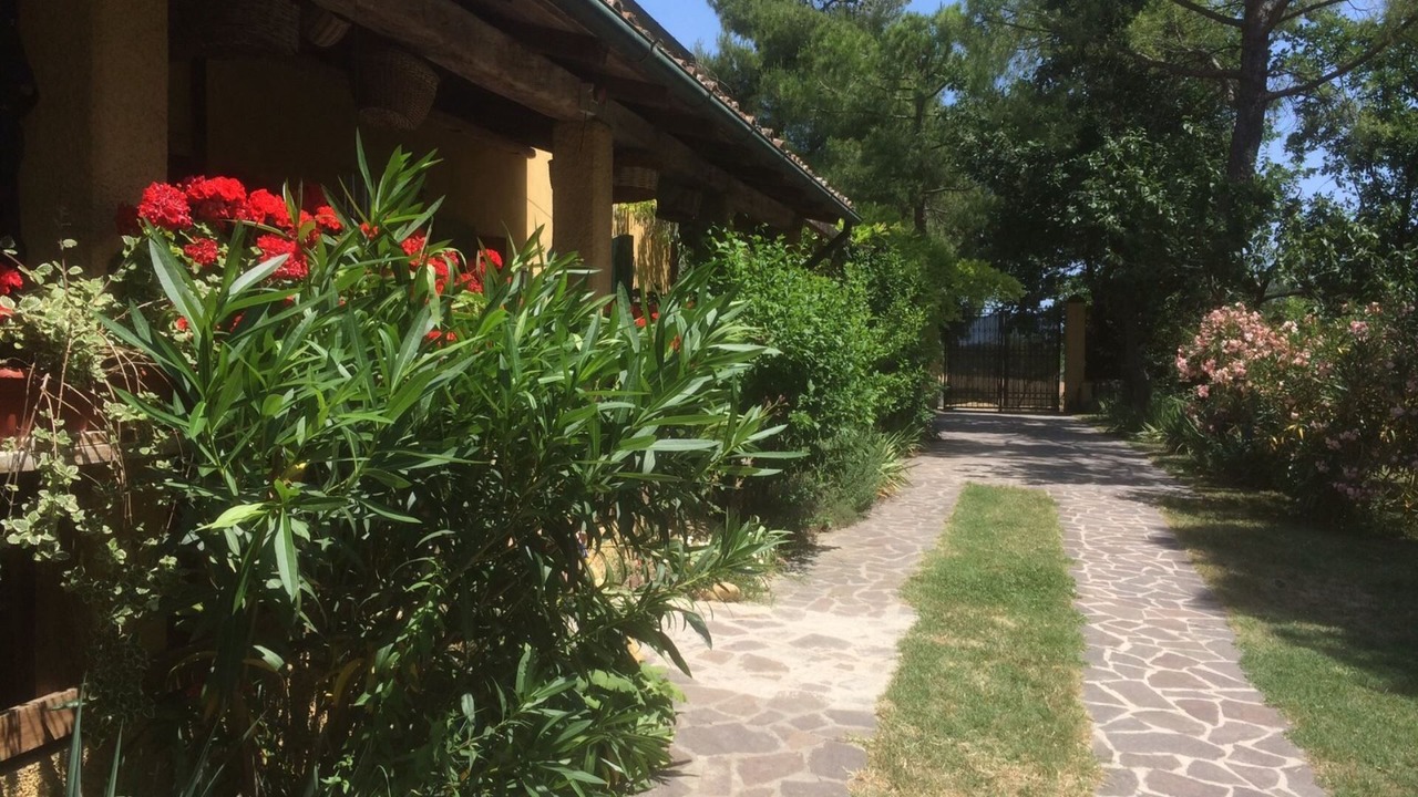 Photo of Outdoor in Mombaroccio