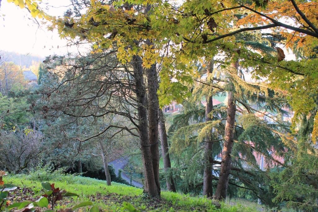 Photo of Outdoor in Sciolze