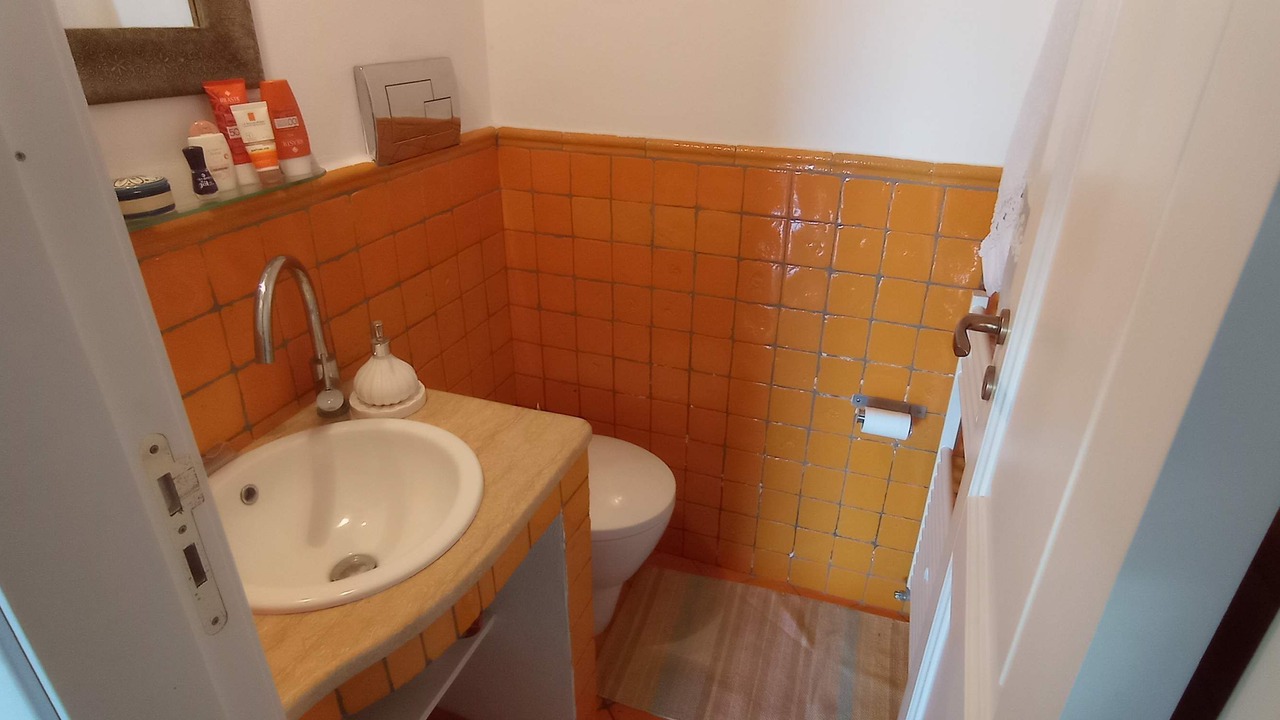 Photo of Bathroom in Lingua
